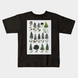 coniferous botanical poster Kids T-Shirt